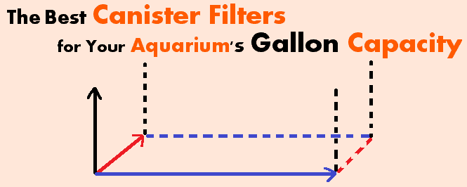 best canister filter for gallon tank header