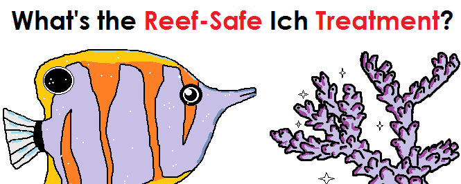 Reef safe ich treatment header