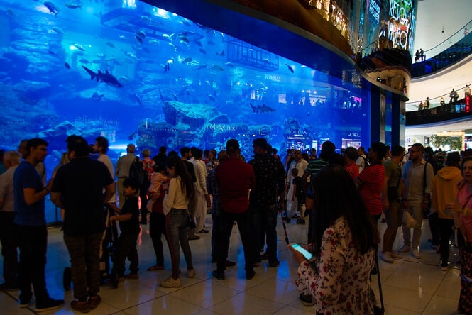 Crowd in front of a large tank in Dubai's Aquarium & Underwater Zoo.