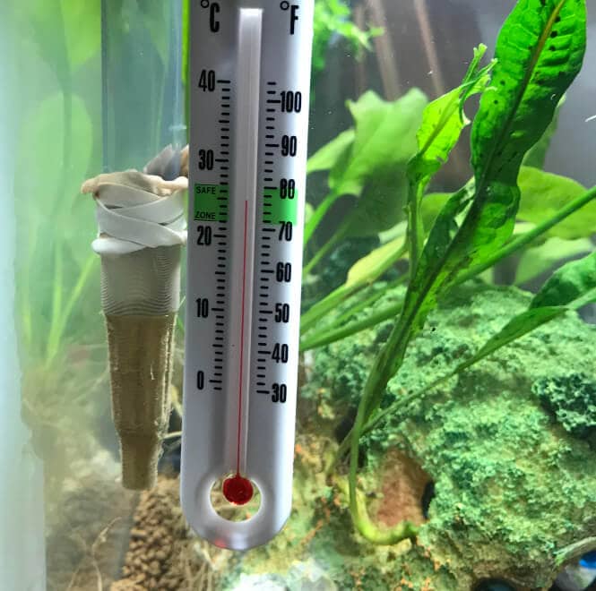 close up of an aquarium thermometer