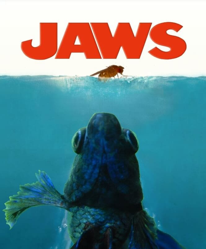 Betta fish jaws poster