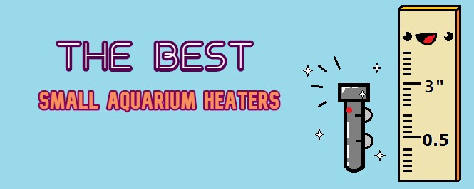 What is the best small aquarium heater?