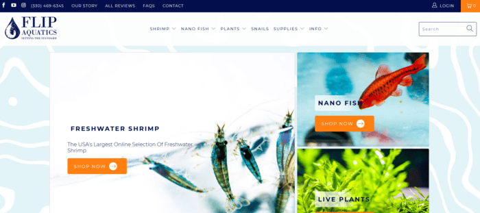 flip aquatics desktop website