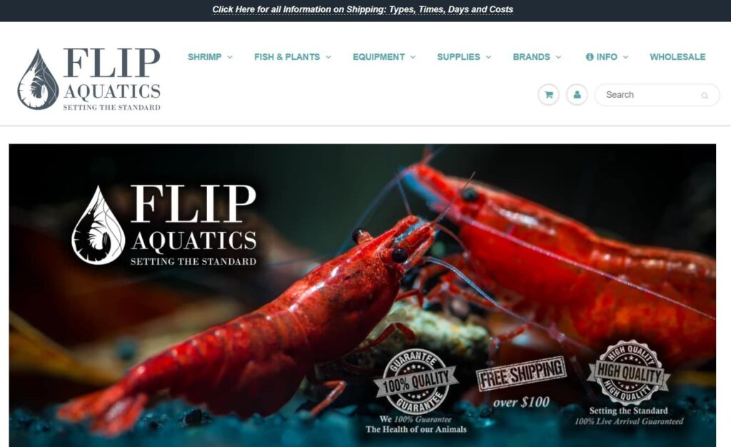 Best Online Fish Stores to Buy Live Aquarium Fish, Flora & Gear