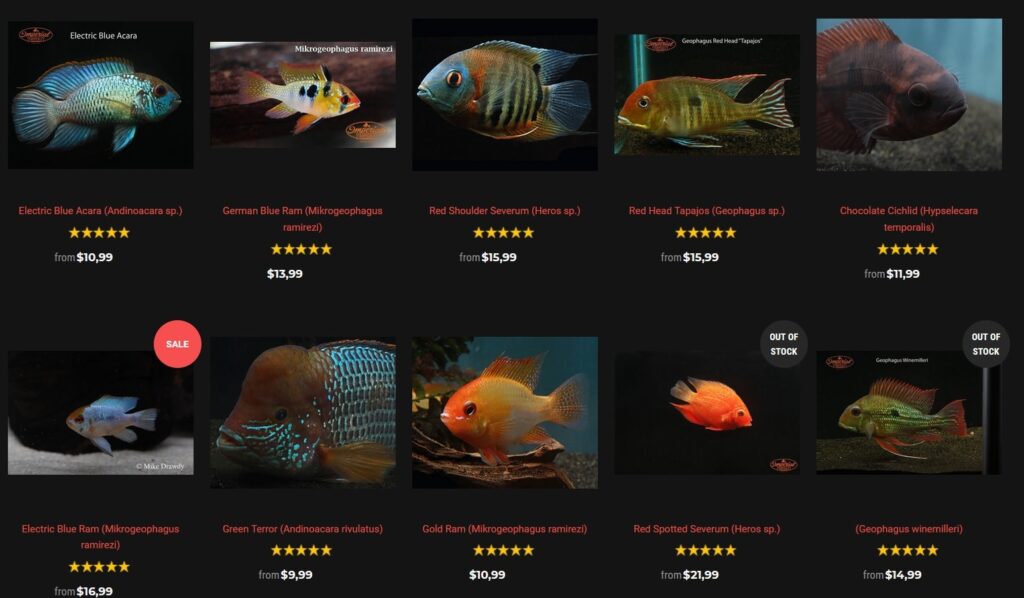 Best Online Fish Stores to Buy Live Aquarium Fish, Flora & Gear