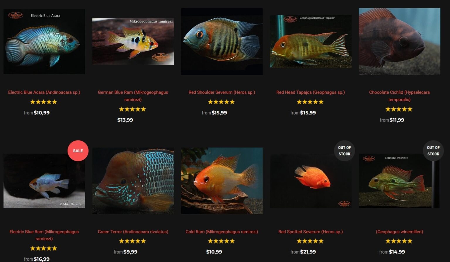 Best Online Fish Stores to Buy Live Aquarium Fish, Flora & Gear