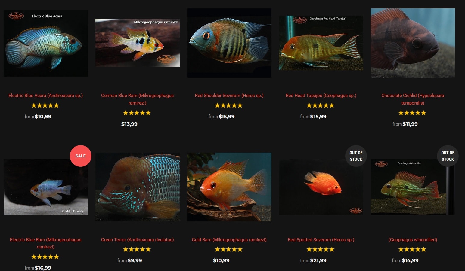 imperialtropicals cichlid selections