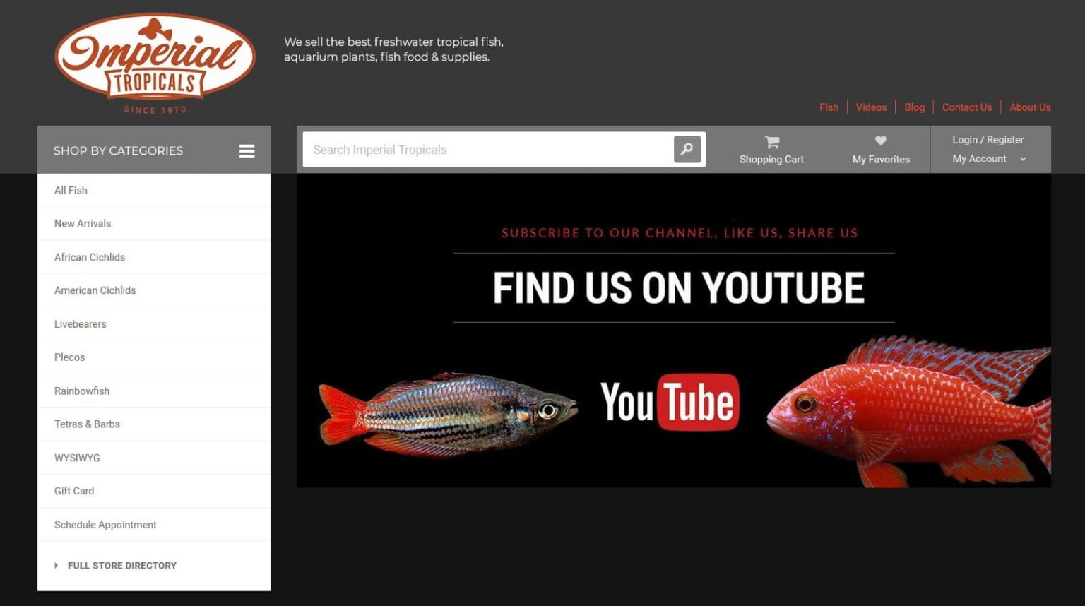 Best Online Fish Stores to Buy Live Aquarium Fish, Flora & Gear