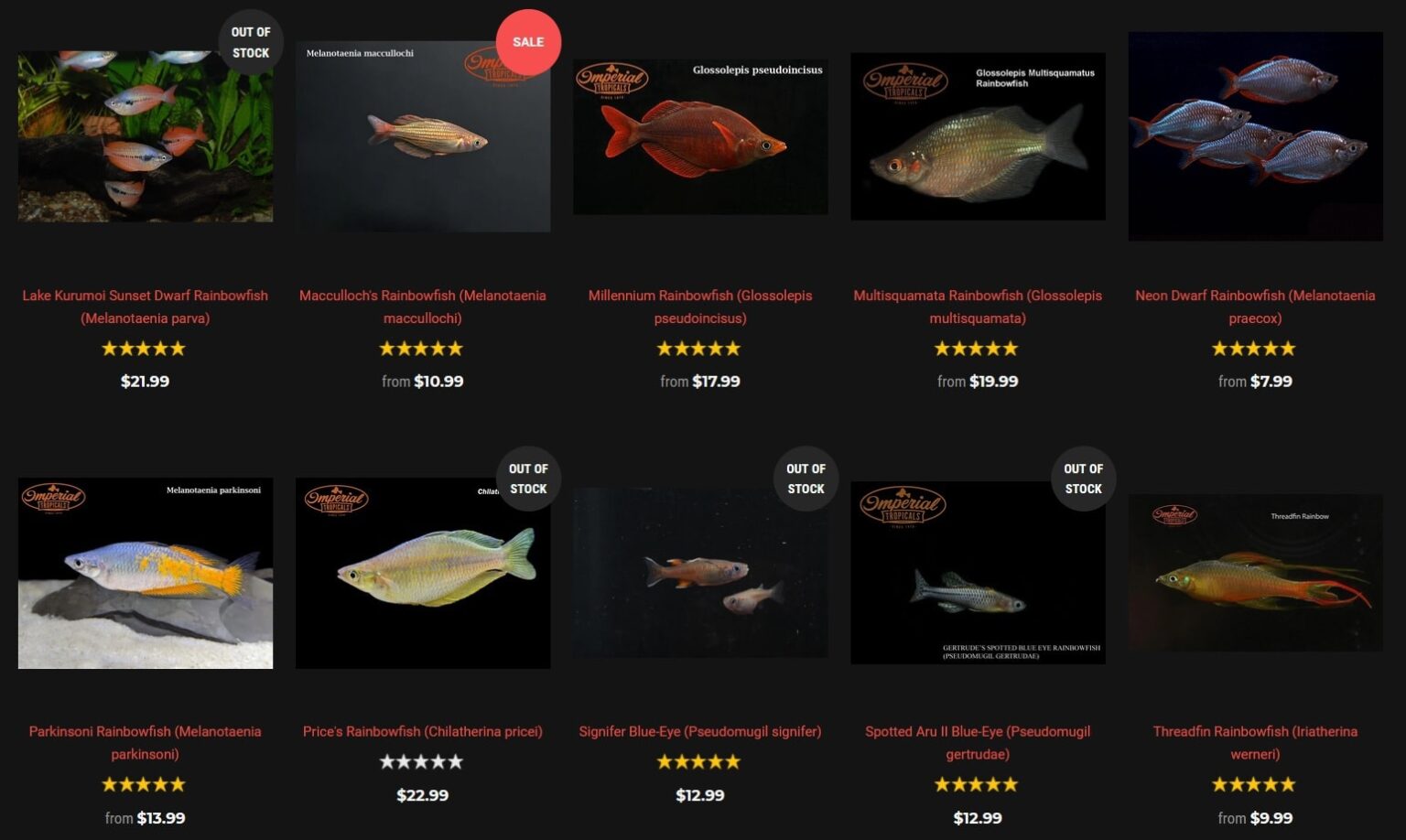 Best Online Fish Stores to Buy Live Aquarium Fish, Flora & Gear
