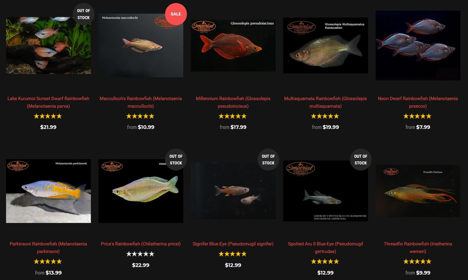 imperialtropicals has a good selection of rainbowfish to buy from