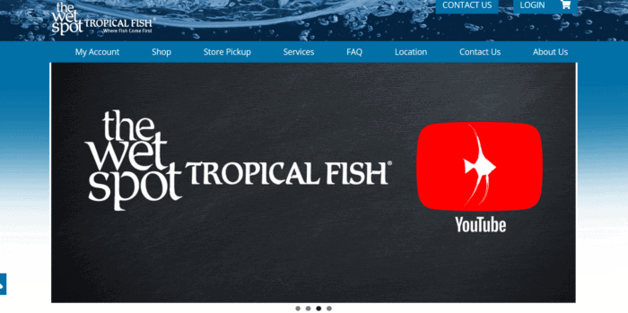 the wet spot tropical fish desktop website