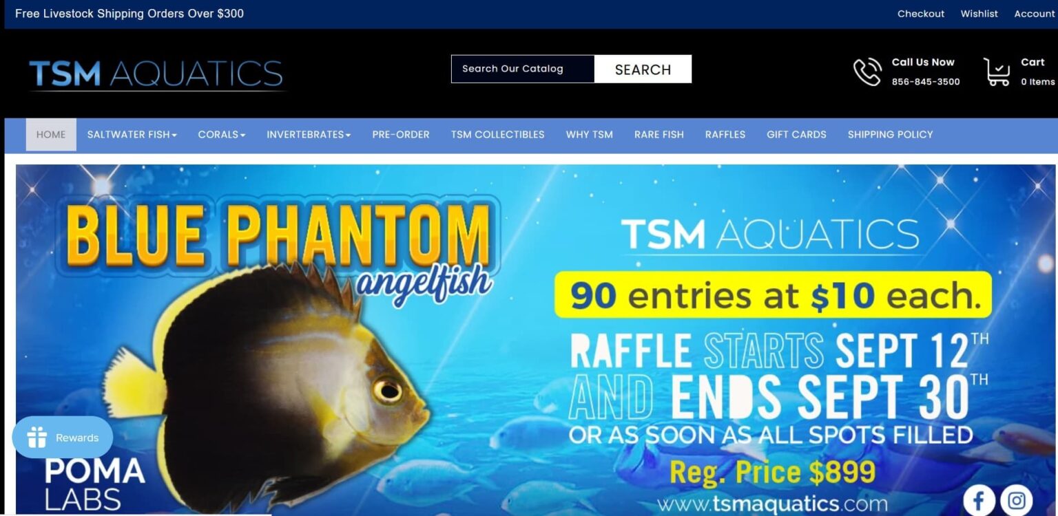 Best Online Fish Stores to Buy Live Aquarium Fish, Flora & Gear