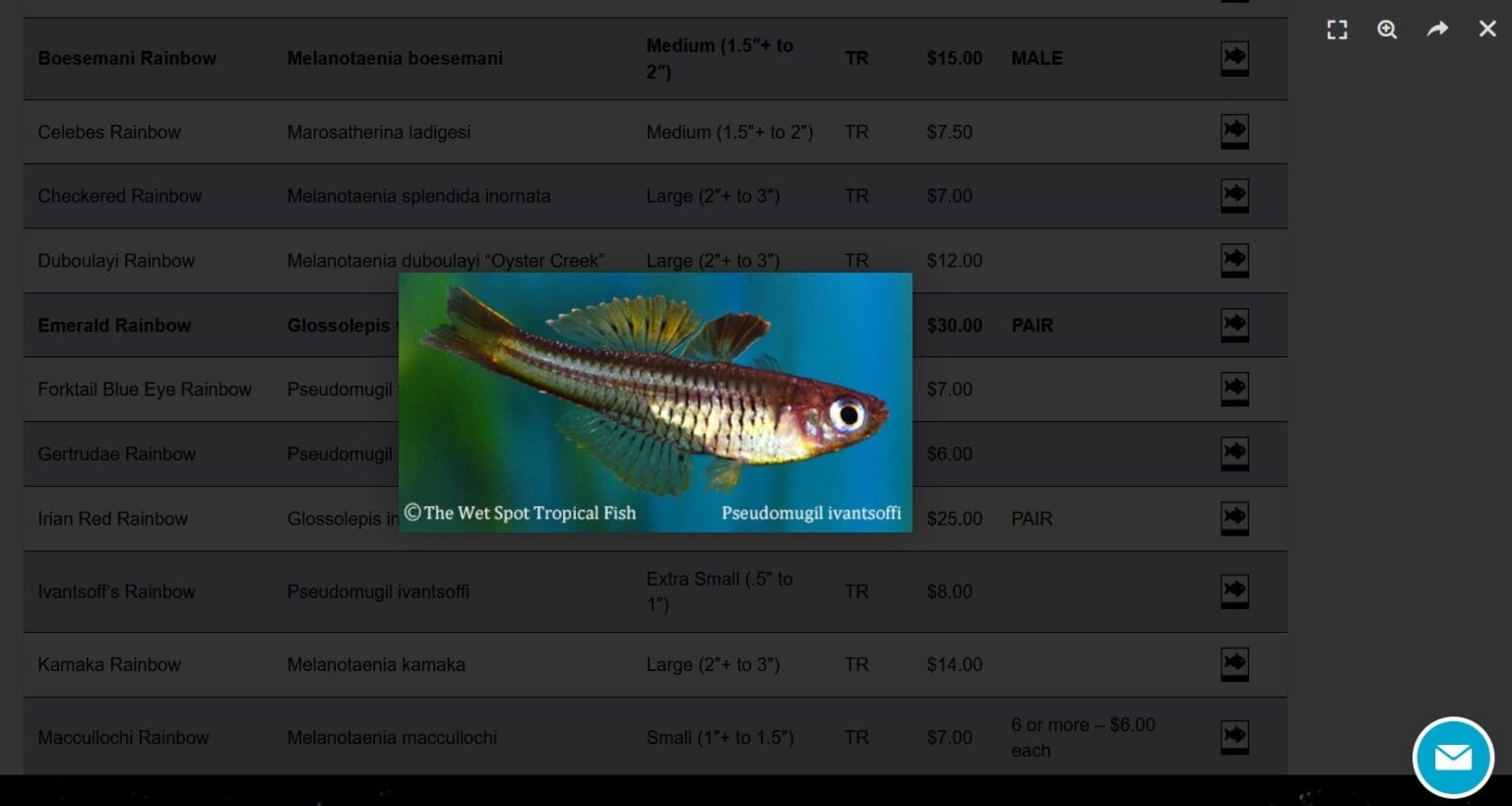 Best Online Fish Stores to Buy Live Aquarium Fish, Flora & Gear