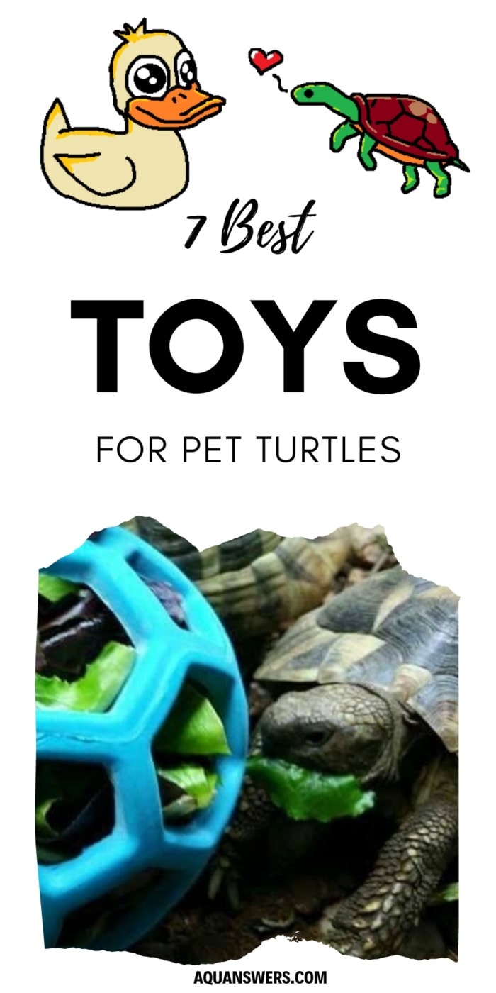 What are ethe best toys for aquatic pet turtles?