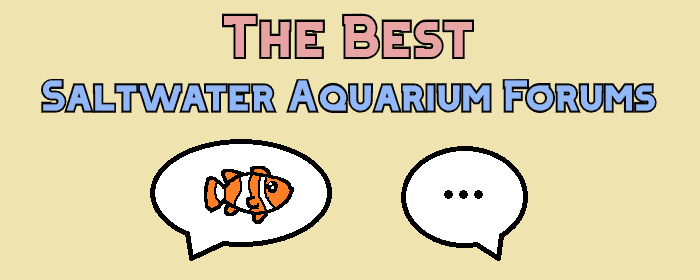 saltwater aquarium forum header