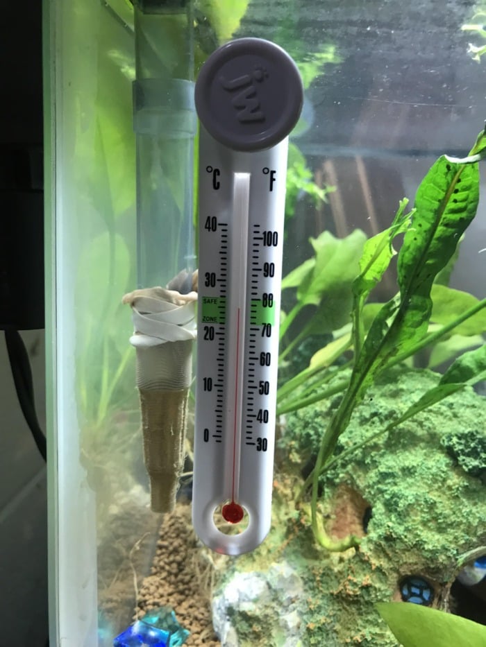 Aquarium thermometer