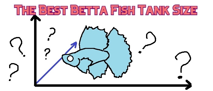 What is the best betta fish tank size?