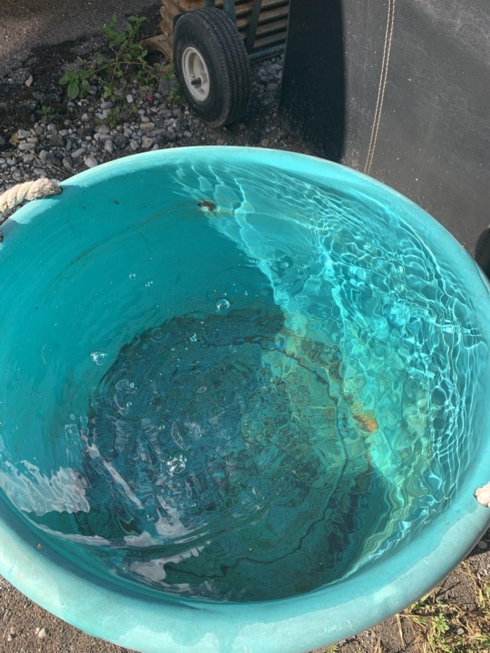 Salt dissolving in a bucket of water