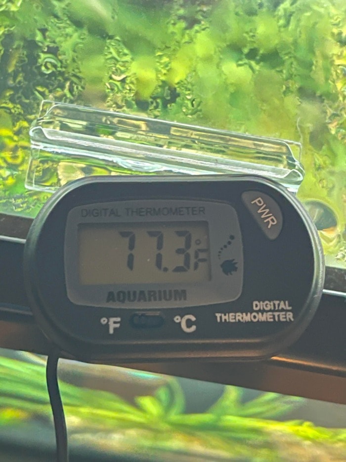 digital aquarium thermometer