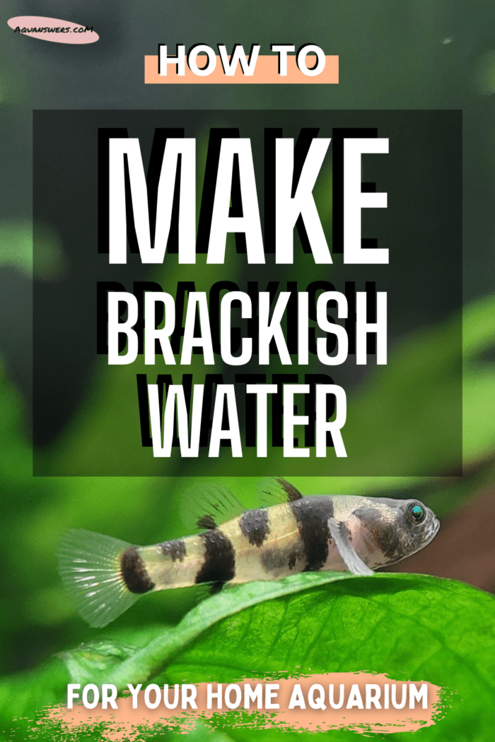 How to make brackish water?