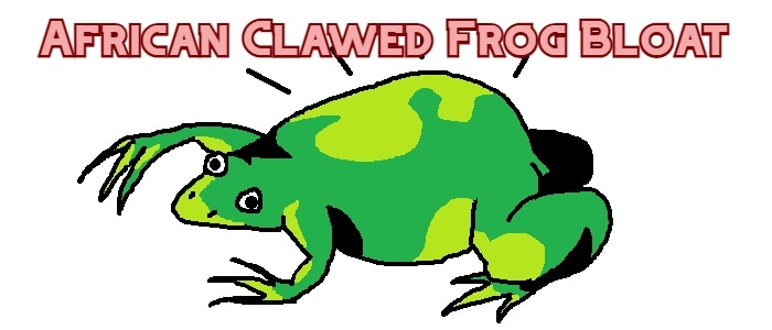 african clawed frog bloat header
