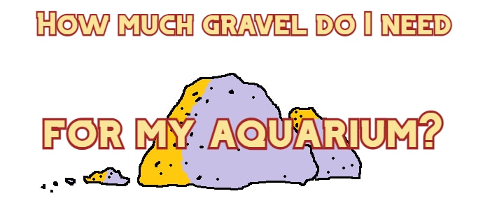 how much gravel do i need aquarium header