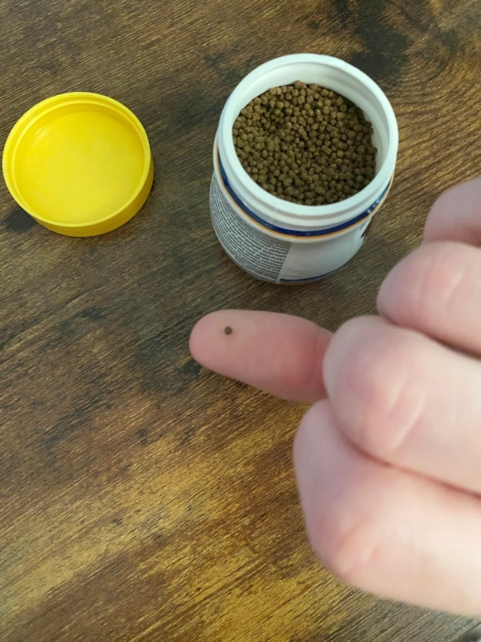 pellets