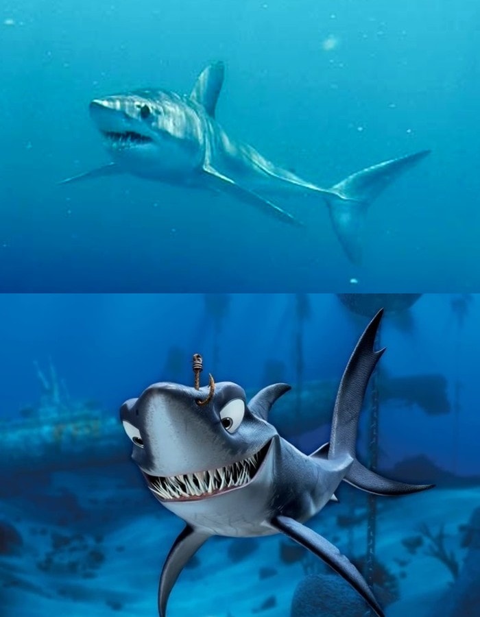 shortfin mako shark chum