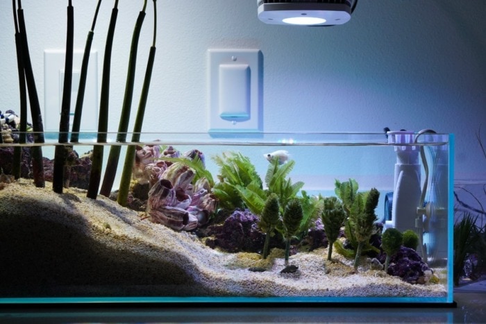 Creating a sloped-aquascape