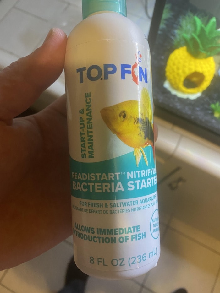 Top Fin bacteria starter