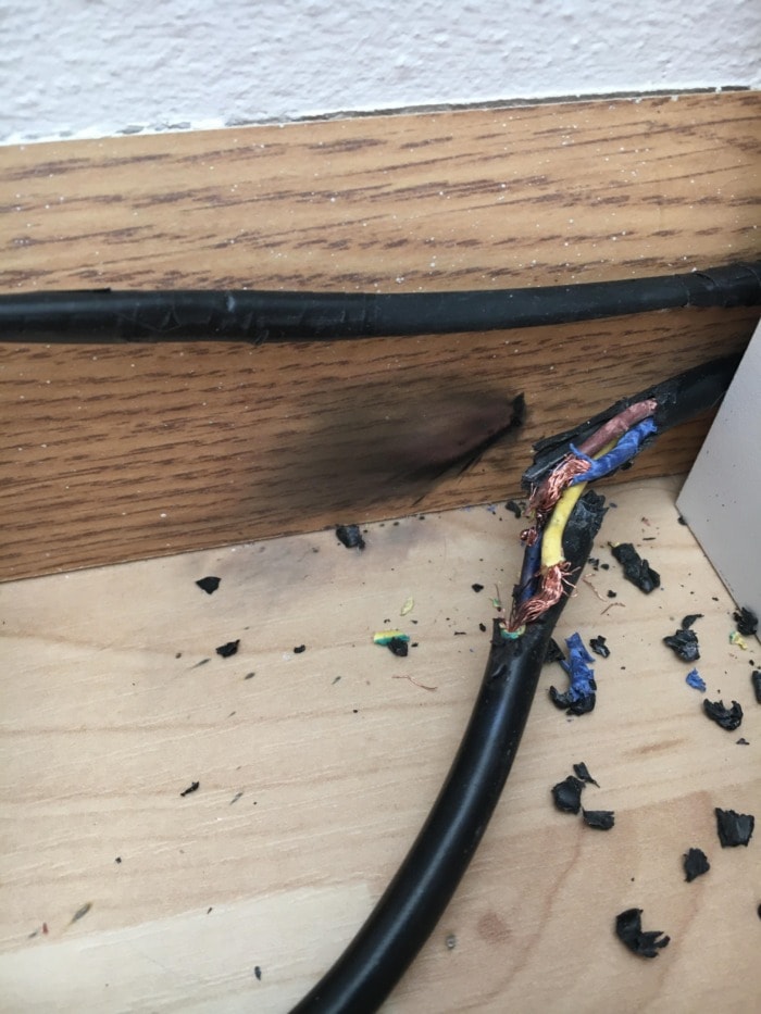 chewed filter cables causing electrical issues