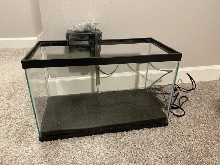 small quarantine tank