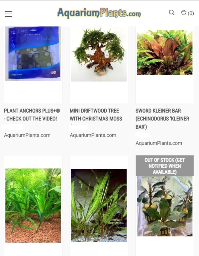 aquariumplants com