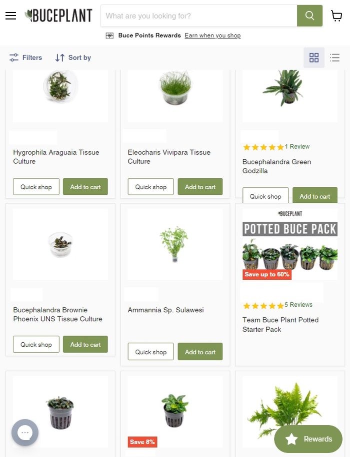 What's the Best Place to Buy Aquarium Plants Online? Aquanswers