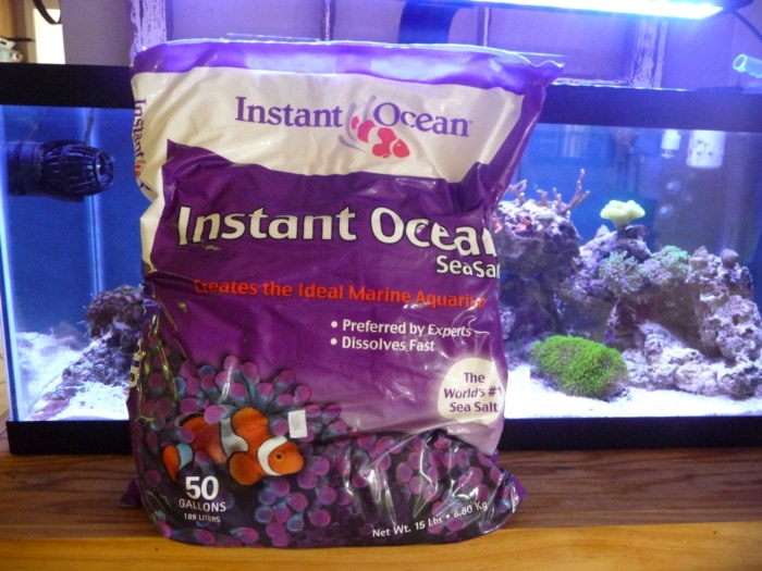 instant ocean sea salt