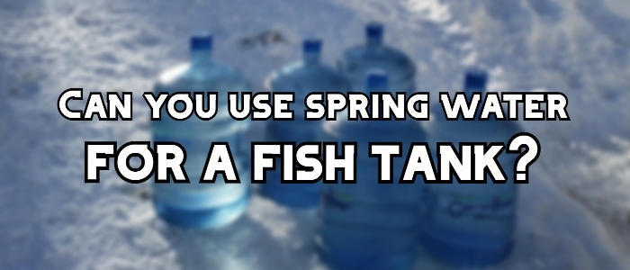 spring water for fish tank header