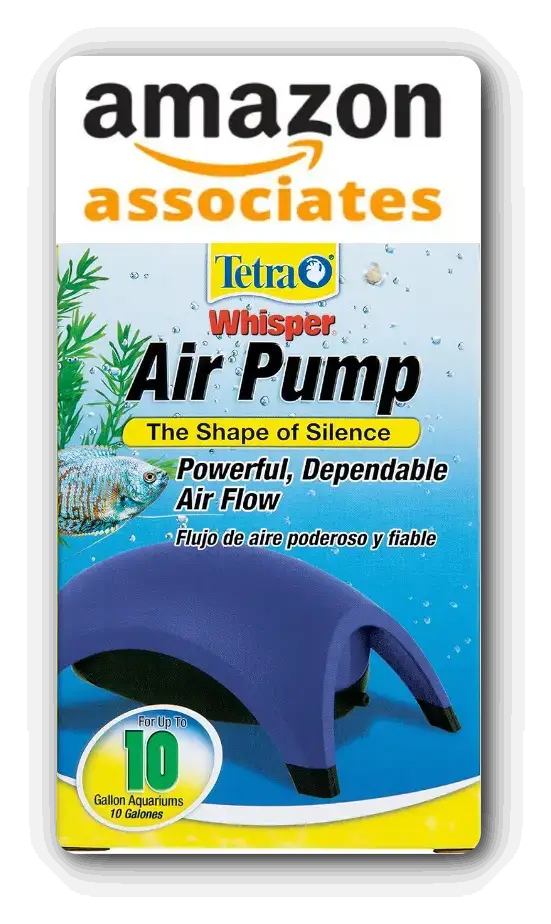 Electric Air Pump Amazon Associates Link