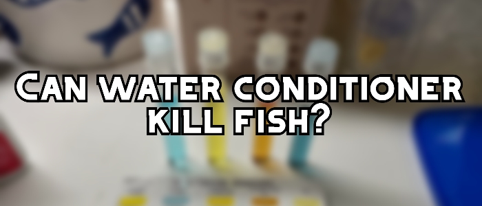 can water conditioner kill fish 