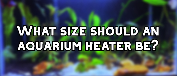 what size aquarium heater