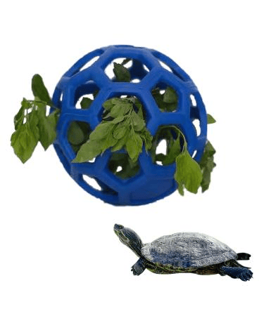 8 Best Toys for Pet Turtles to Play With | AquAnswers