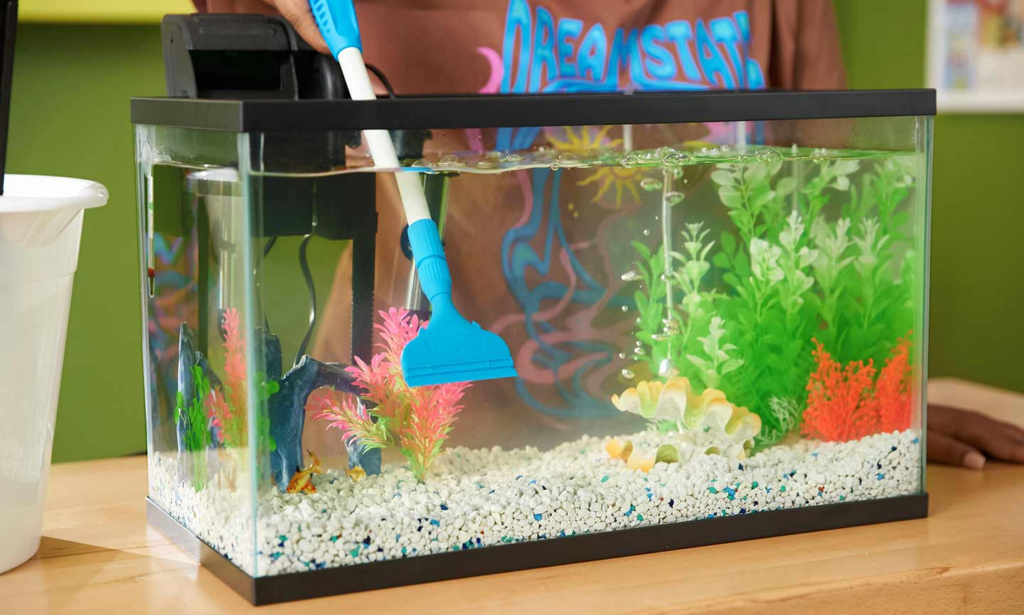 Factors that Influence the Frequency of Cleaning a Fish Tank