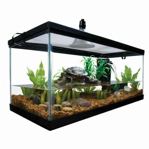 Measurement Units for a 20-Gallon Freshwater Tank