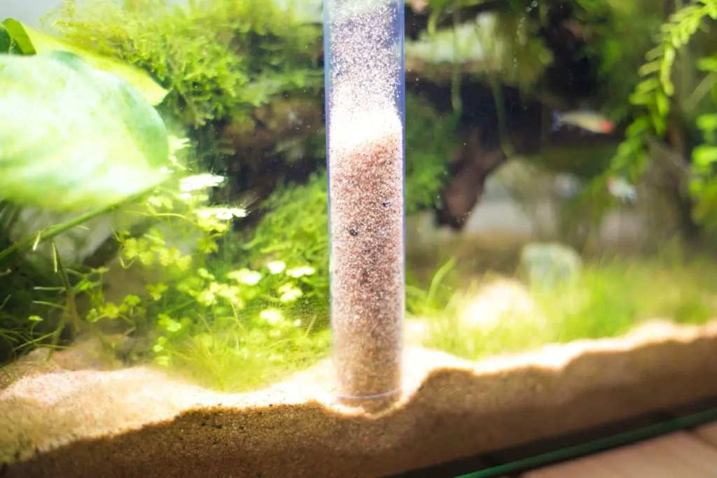 How To Clean A Fish Tank