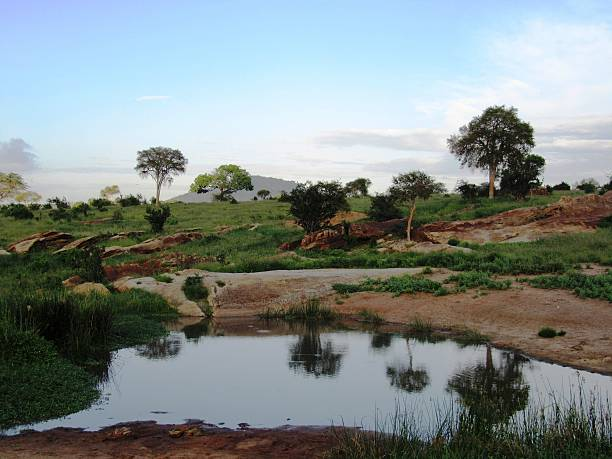 African Rift Lake Biotope  