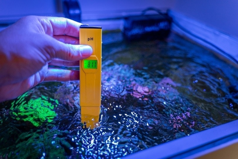 How to Lower Your Aquarium’s pH