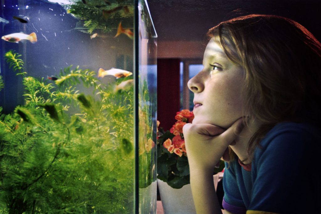 Factors to Consider Before Choosing Fish for a 5 Gallon Tank