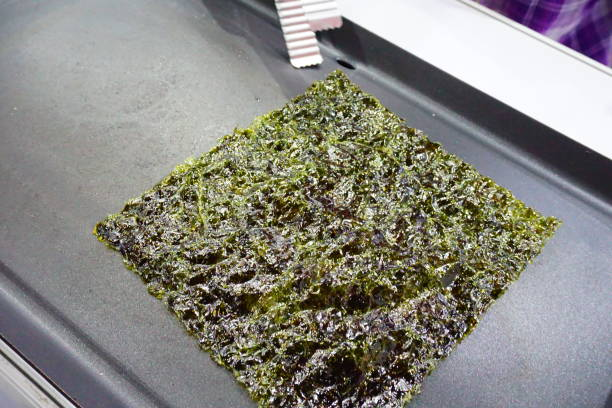 About feeding pet fish algae wafer fish foods