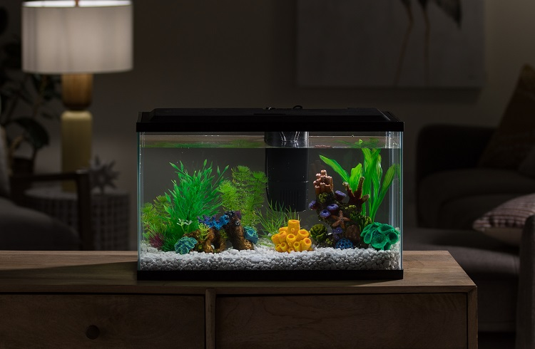 Alternatives to a 1-gallon Tank for Betta Fish