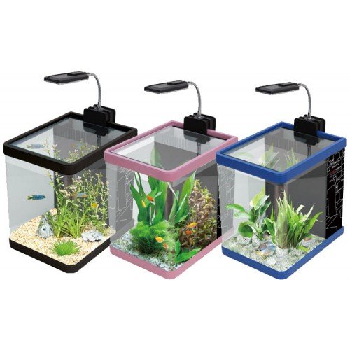 Understanding the Average Price Range for Fish Tanks