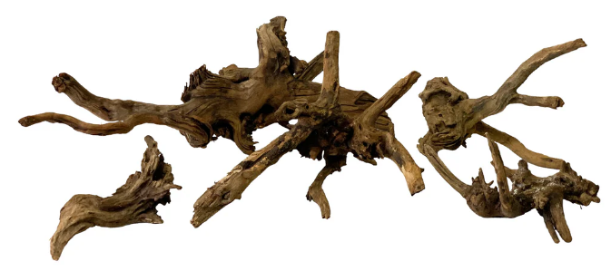 Pictured, Aquarium Driftwood